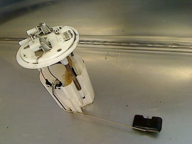 Image sélectionnée