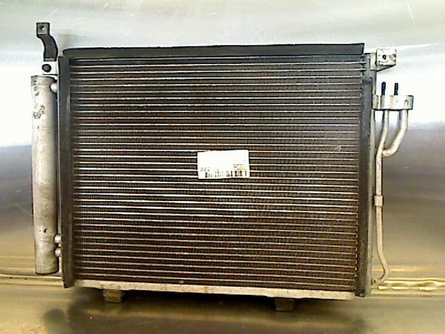 Image sélectionnée