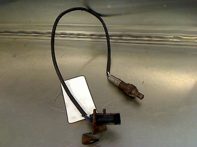 Image sélectionnée