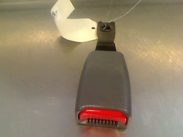 Image sélectionnée