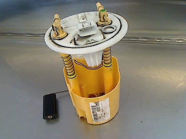 Image sélectionnée
