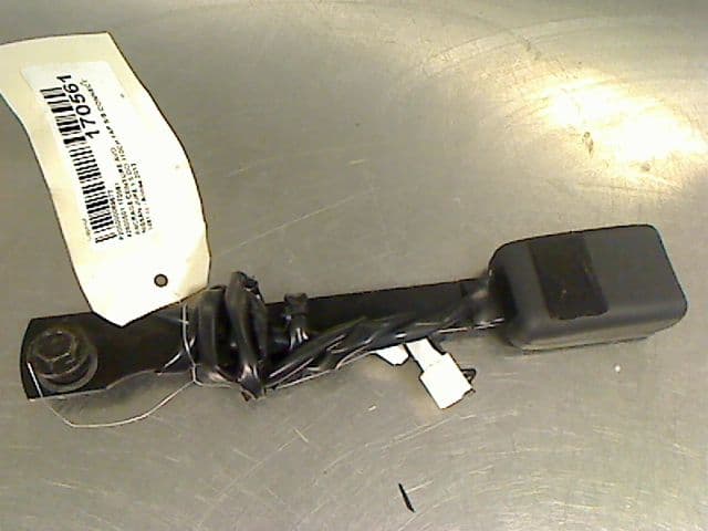 Image sélectionnée