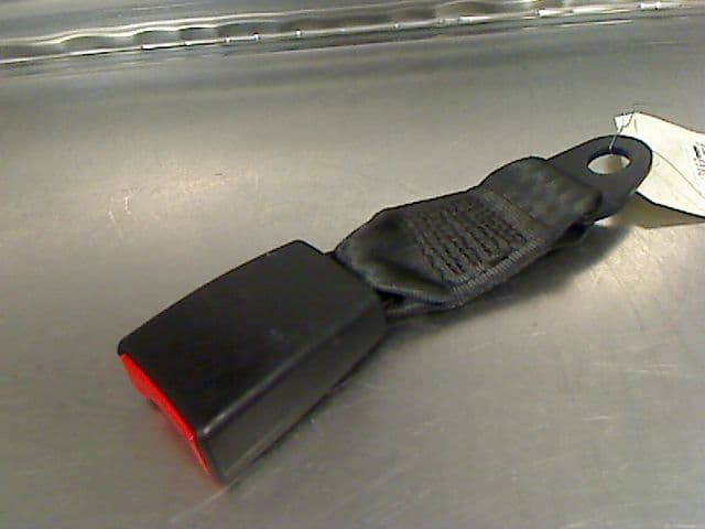 Image sélectionnée