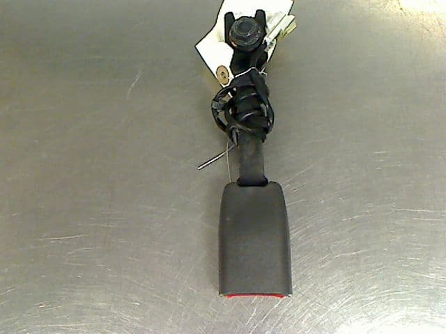 Image sélectionnée