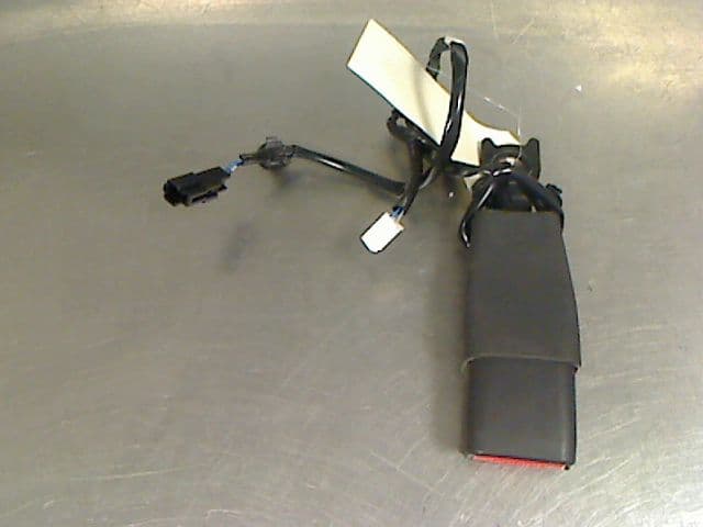 Image sélectionnée