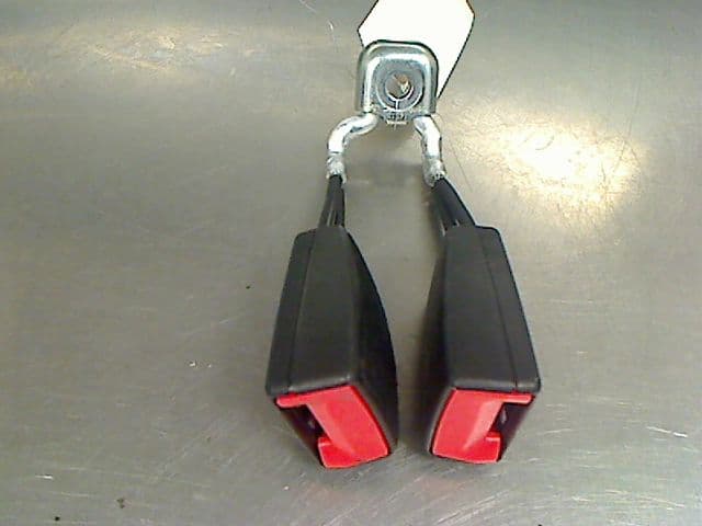 Image sélectionnée