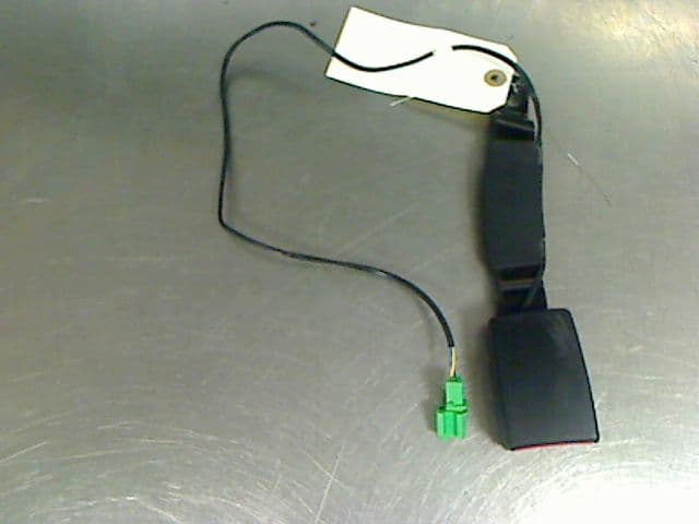 Image sélectionnée