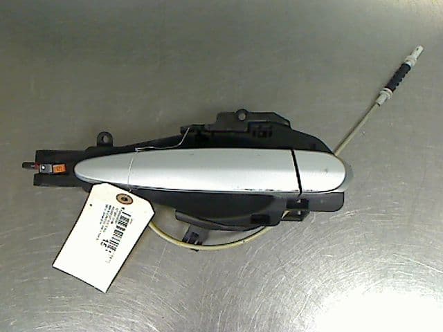 Image sélectionnée