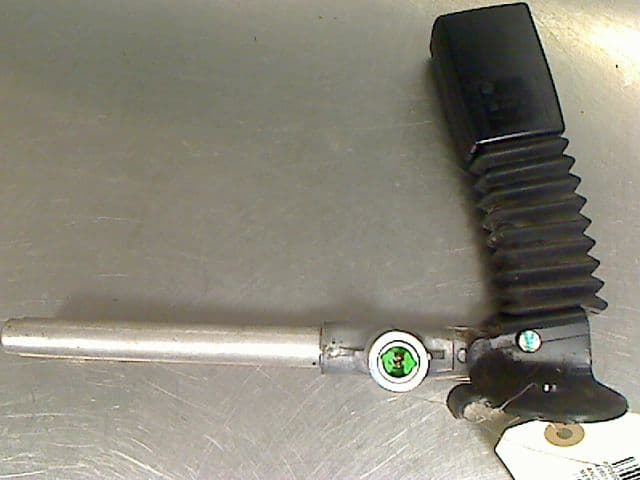 Image sélectionnée