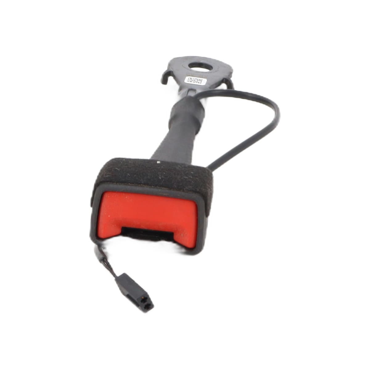 Image sélectionnée