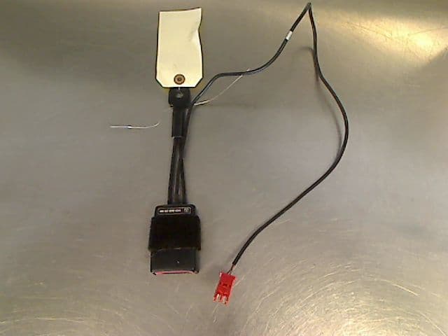 Image sélectionnée