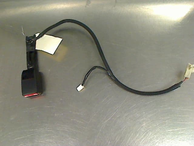 Image sélectionnée