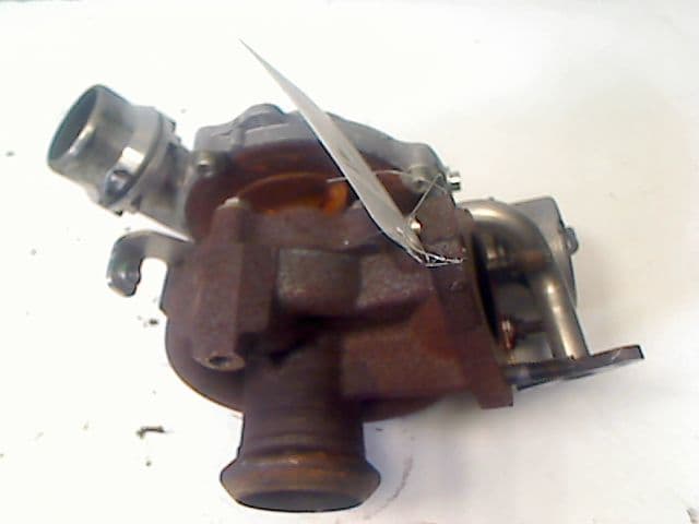 Image sélectionnée