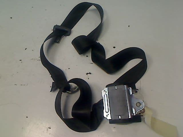 Image sélectionnée