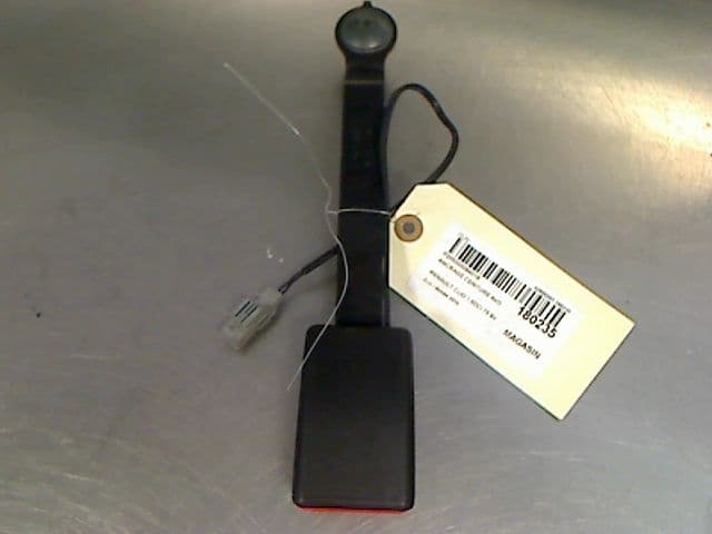 Image sélectionnée