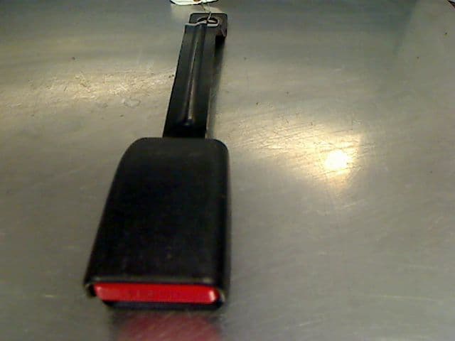 Image sélectionnée