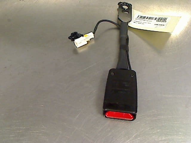 Image sélectionnée