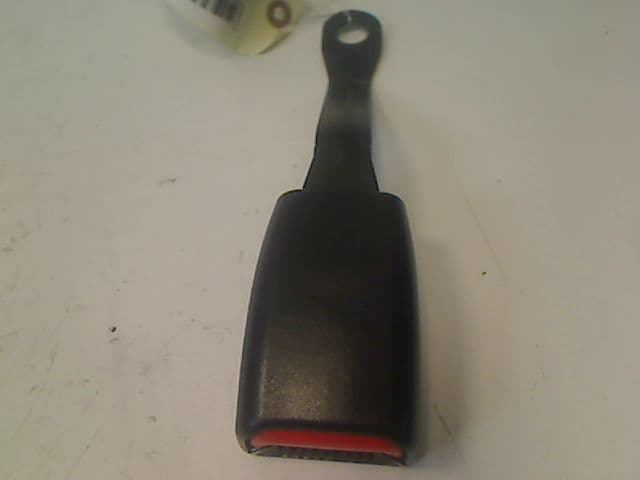 Image sélectionnée