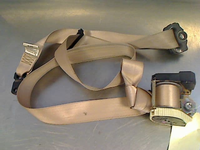 Image sélectionnée