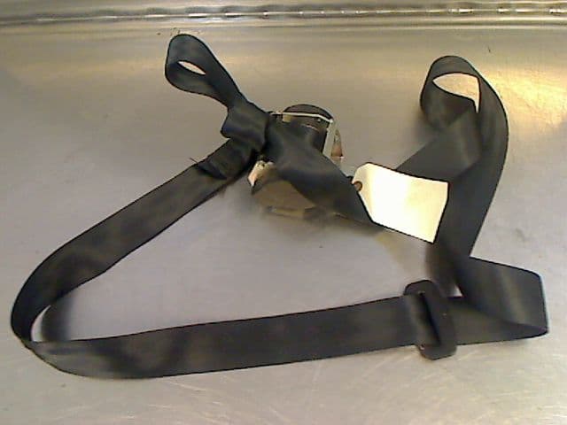 Image sélectionnée