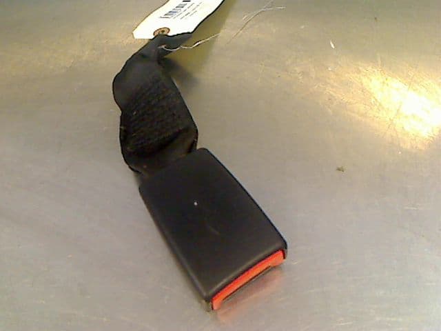 Image sélectionnée