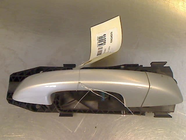 Image sélectionnée