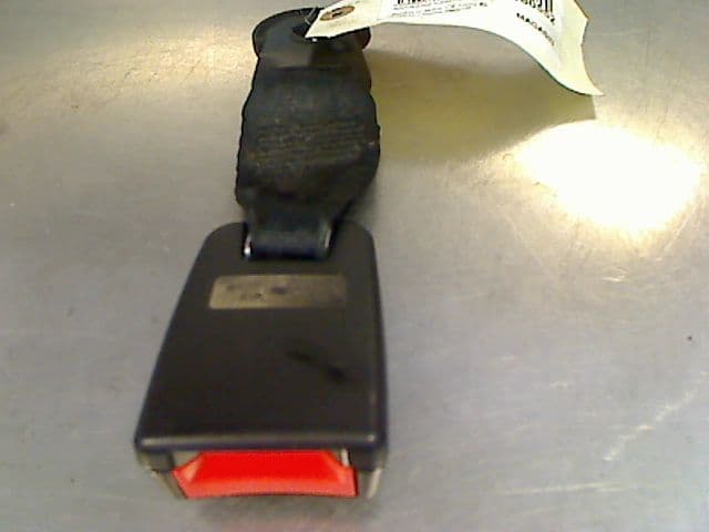 Image sélectionnée