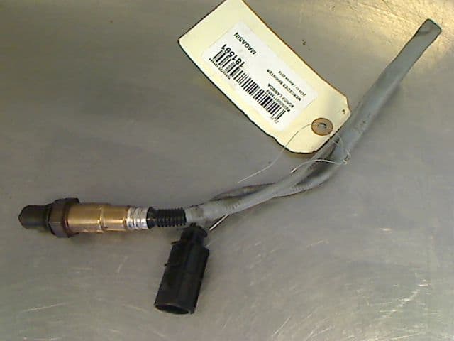 Image sélectionnée