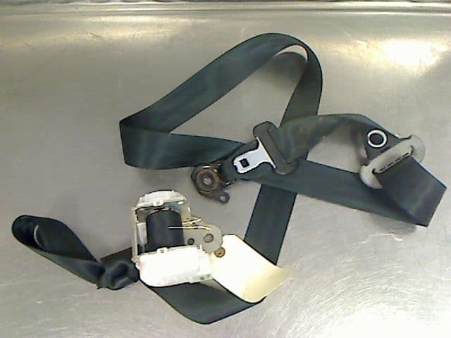 Image sélectionnée