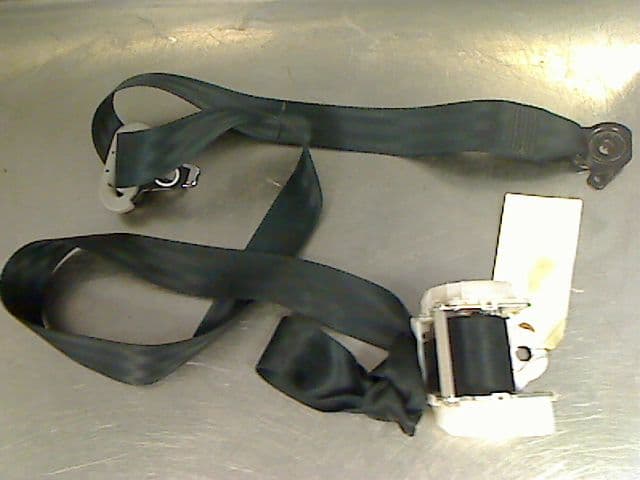 Image sélectionnée