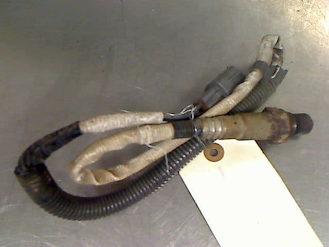 Image sélectionnée