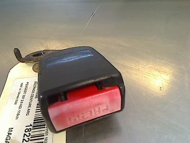 Image sélectionnée