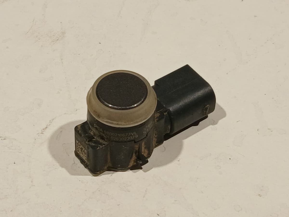 Image sélectionnée