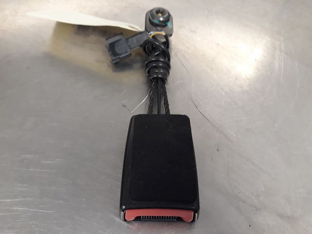 Image sélectionnée