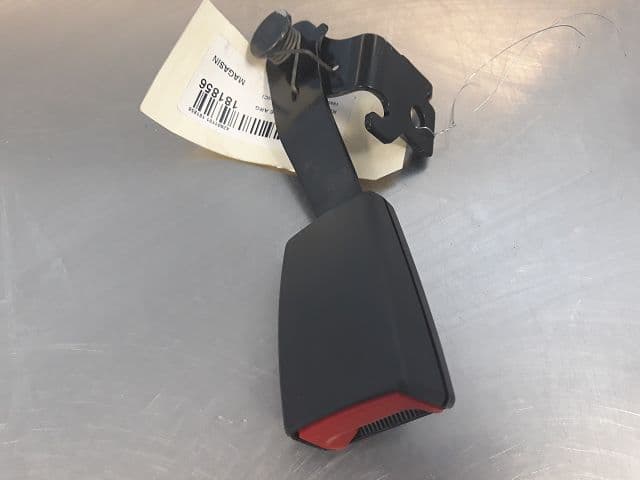 Image sélectionnée