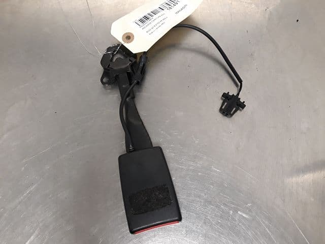 Image sélectionnée