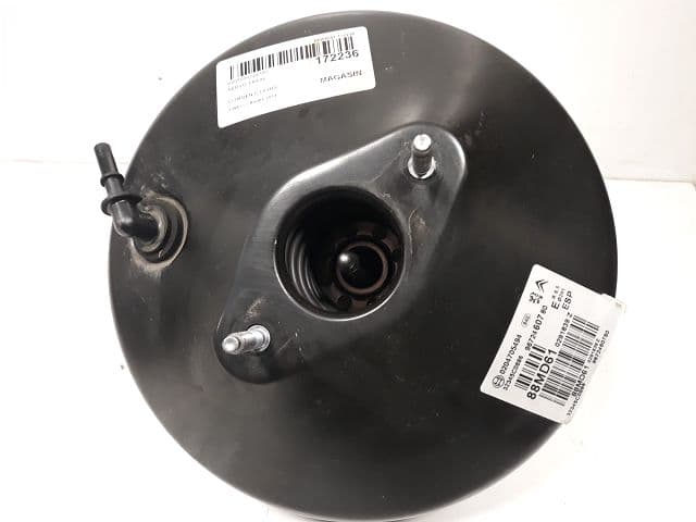 Image sélectionnée