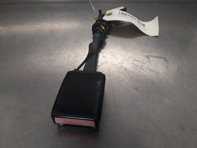 Image sélectionnée