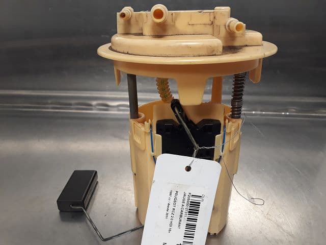 Image sélectionnée