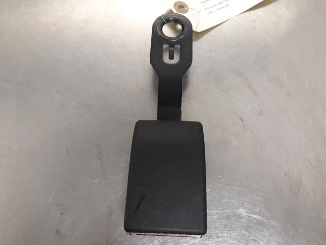 Image sélectionnée