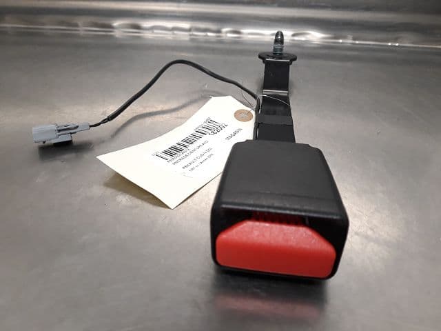 Image sélectionnée