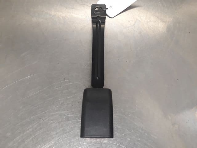 Image sélectionnée