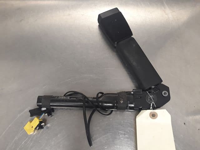 Image sélectionnée