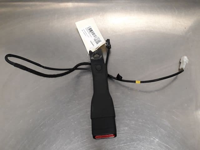 Image sélectionnée