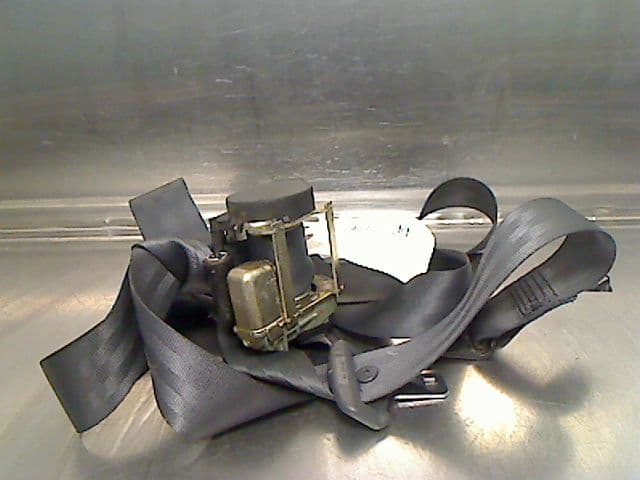 Image sélectionnée