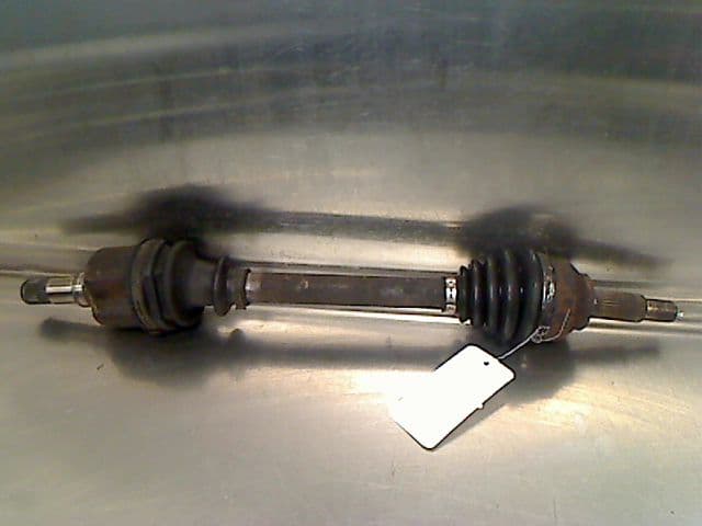 Image sélectionnée