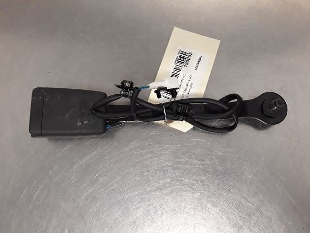 Image sélectionnée