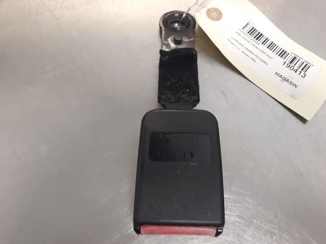 Image sélectionnée