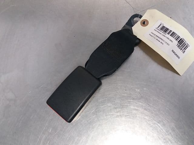 Image sélectionnée