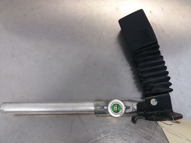 Image sélectionnée